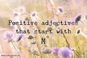 positive adjectives that start with M